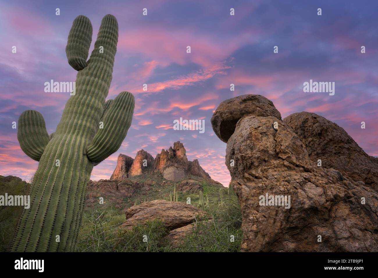 Tramonto con cactus Cholla e cactus Suguaro. Superstion Mountains, Arizona Foto Stock