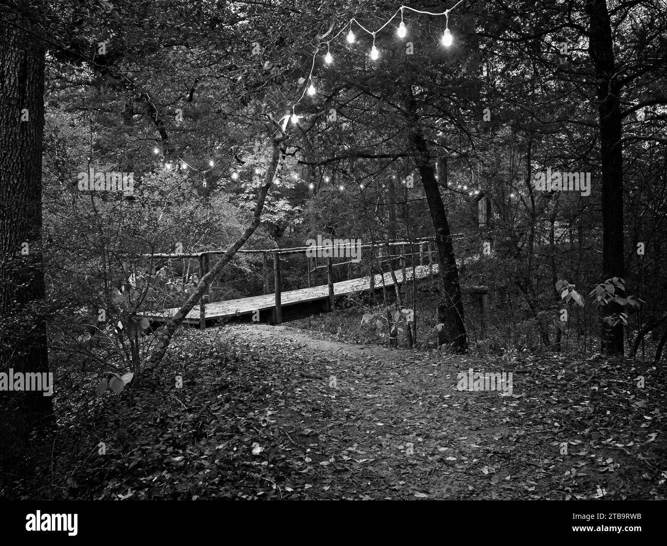 Passeggia su Dry creek in serata con le luci per passeggiare di notte in B&W. Foto Stock