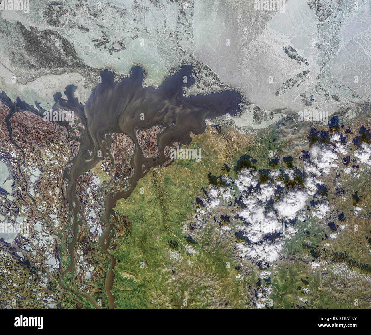 Vista satellitare di un torrente blackwater dal fiume Kolyma che trasporta sedimenti nell'Oceano Artico. Foto Stock