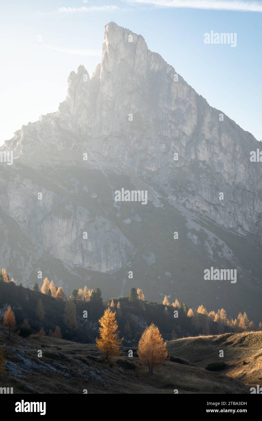 Foto verticale di larici dorati al tramonto con massicce montagne sullo sfondo, Dolomiti, Italia Foto Stock