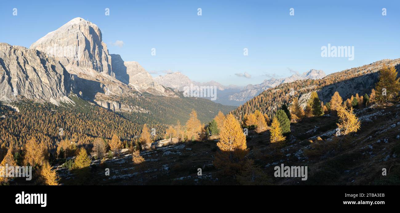 Vista panoramica sulla splendida valle alpina ricca di larici dorati in autunno, Dolomiti, Italia Foto Stock