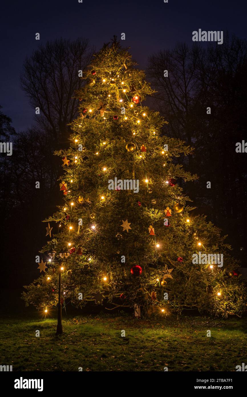 Grande albero di Natale decorato e illuminato di notte, verticale Foto Stock