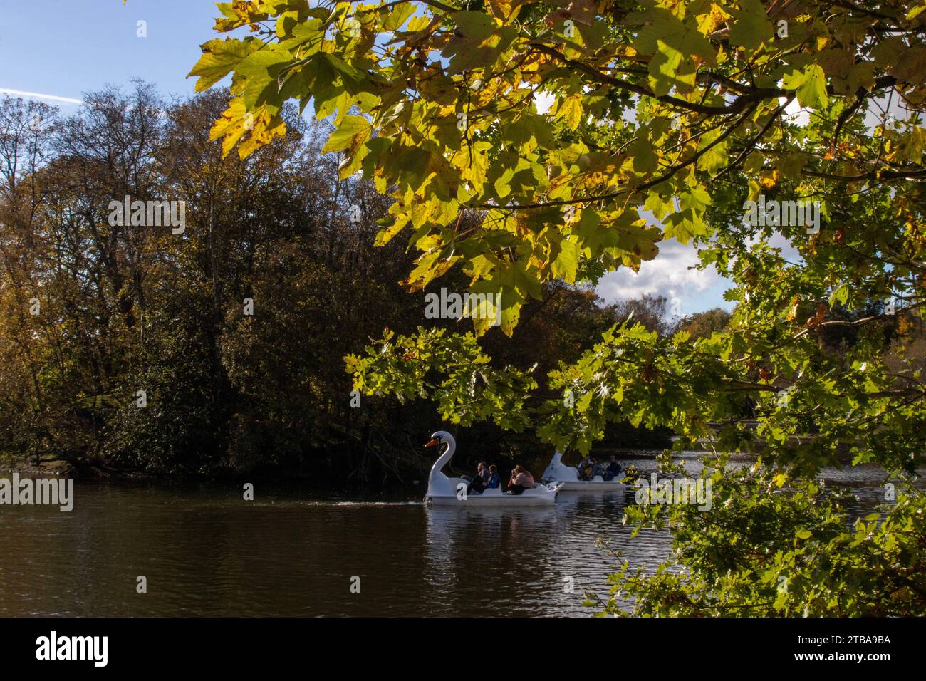 Swan Pedalo sul lago Heaton Park, Manchester 2 Foto Stock