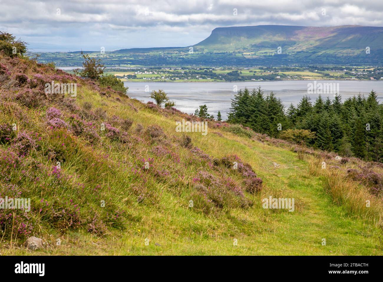 Sentiero per il monte Knocknarea, Grange North, Knockaree, Sligo, Irlanda Foto Stock