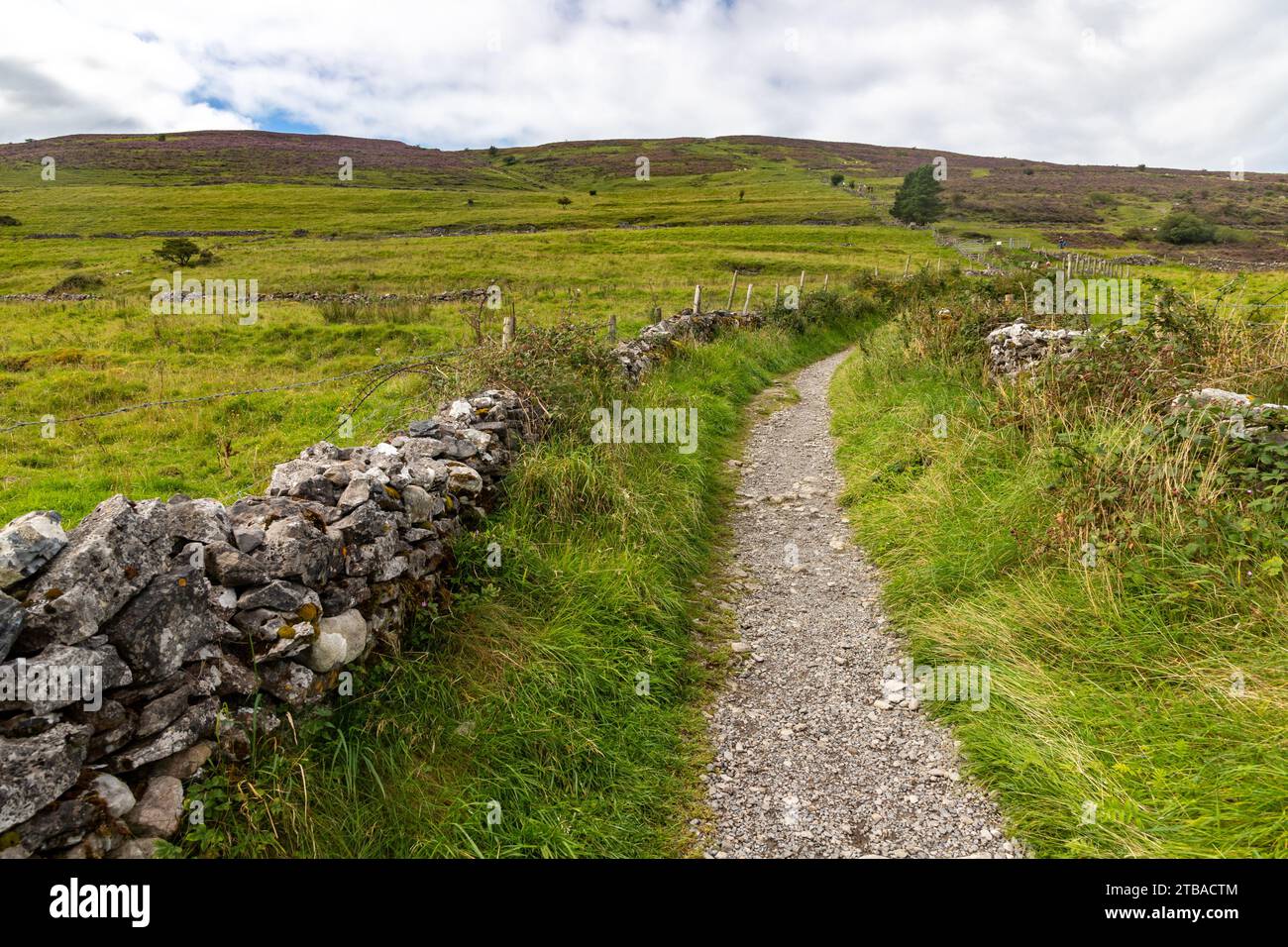 Sentiero per il monte Knocknarea, Grange North, Knockaree, Sligo, Irlanda Foto Stock