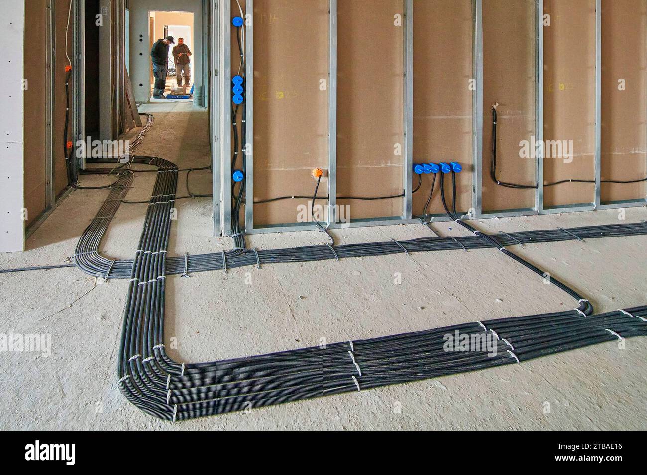 Lavori interni con impianti elettrici complessi, posa di molti cavi, Germania Foto Stock