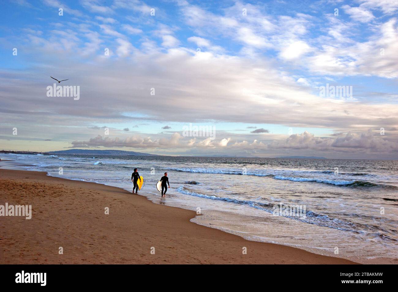Surfers a Venice Beach a Los Angeles, CA Foto Stock