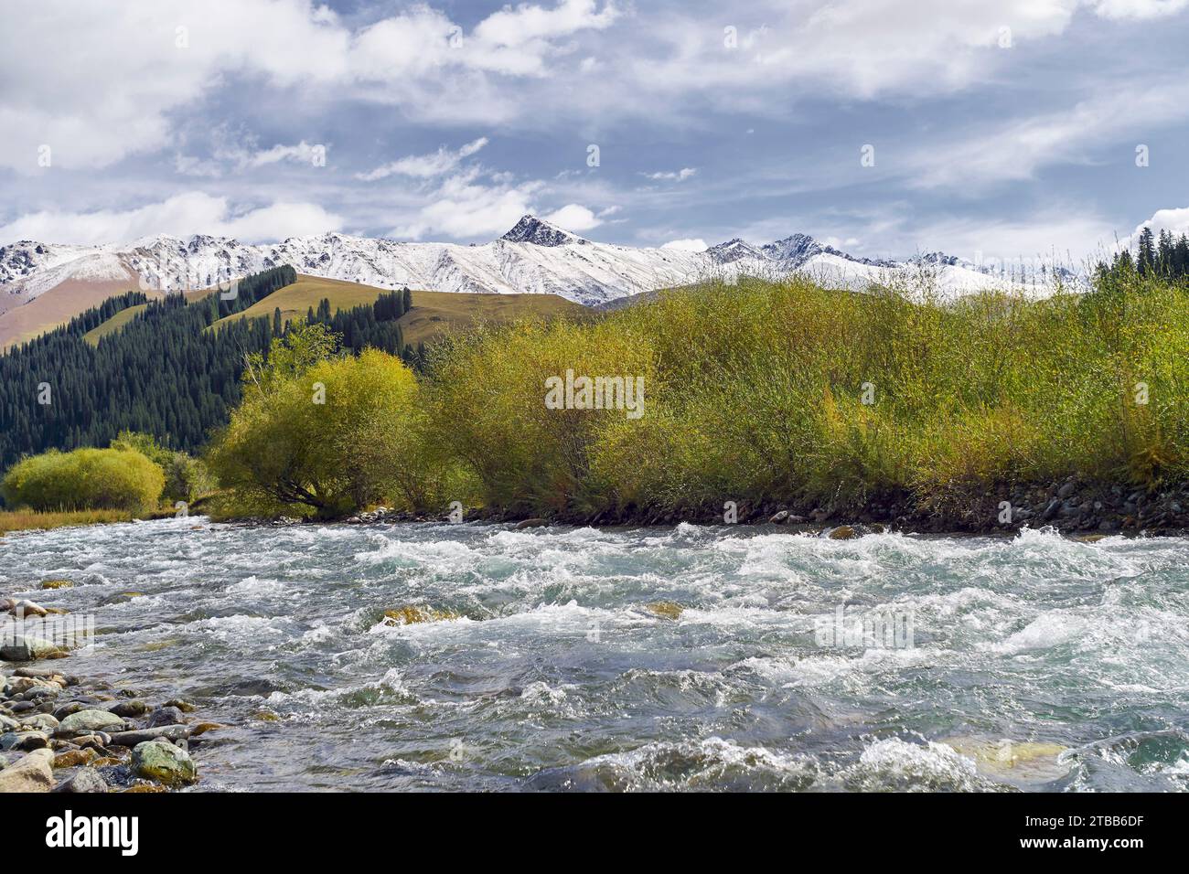 Splendido paesaggio di fiume che scorre, cespugli colorati e montagne innevate nello Xinjiang, Cina Foto Stock