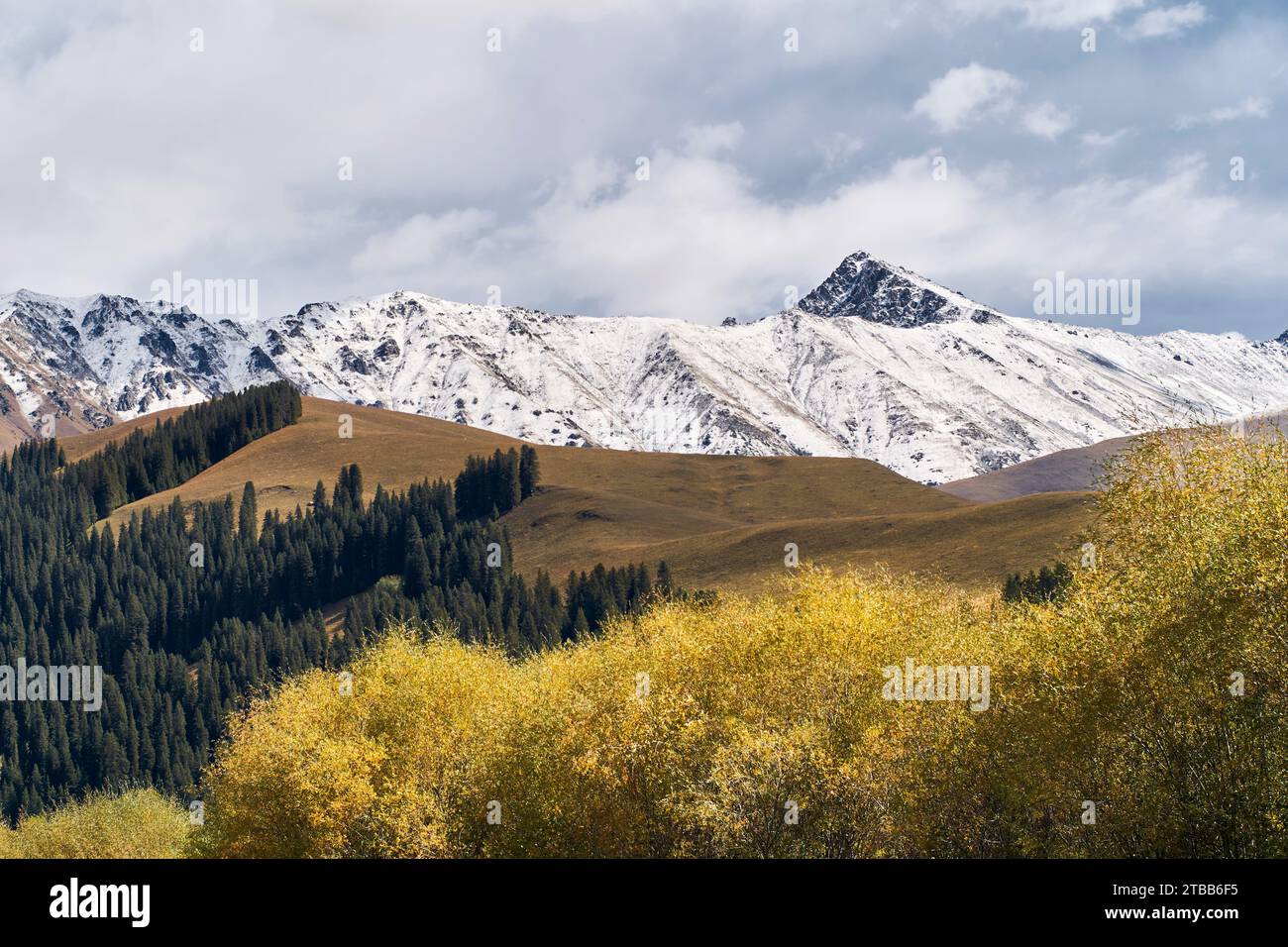 Splendido paesaggio di fiume fluente, cespugli autunnali e montagne innevate nello Xinjiang, Cina Foto Stock