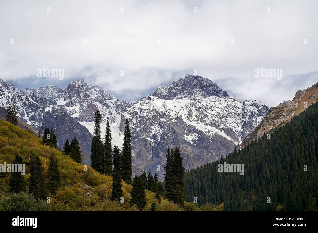 Paesaggio di foresta e montagna innevata nello Xinjiang, Cina Foto Stock
