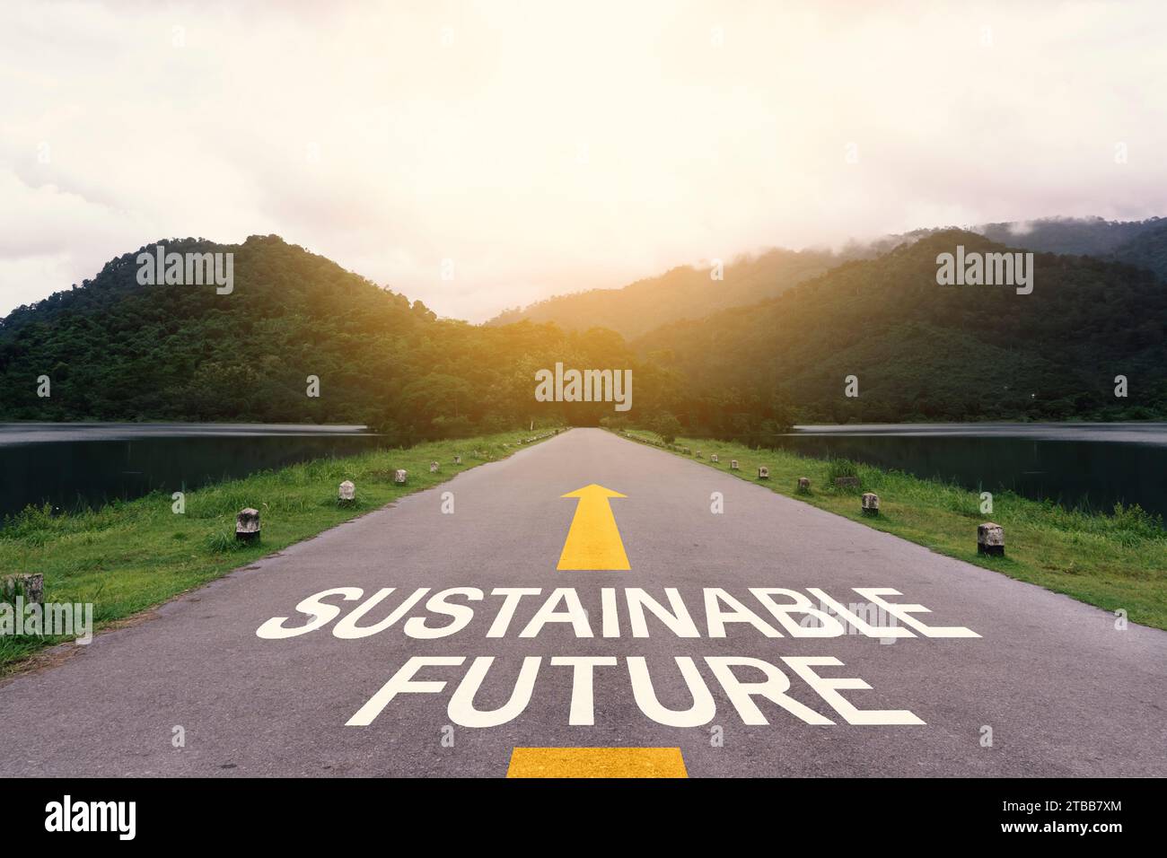 Un futuro sostenibile o un concetto semplice. Testo scritto sulla strada che porta alla foresta verde. Concetto ESG, zero emissioni, energia rinnovabile, Foto Stock