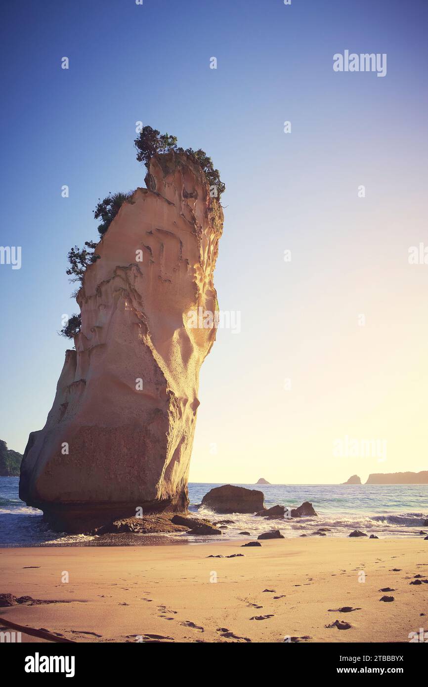 Alba a Cathedral Cove, nuova Zelanda Foto Stock