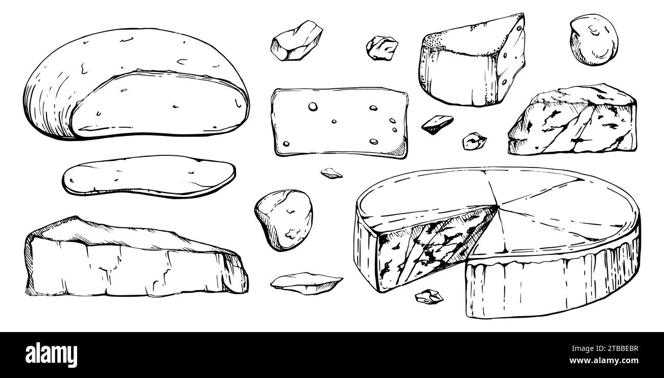 Illustrazione a inchiostro vettoriale disegnata a mano. Assortimento di mozzarella di formaggio, parmigiano edam emmental gruyere gorgonzola. Set di oggetti isolati su bianco Illustrazione Vettoriale