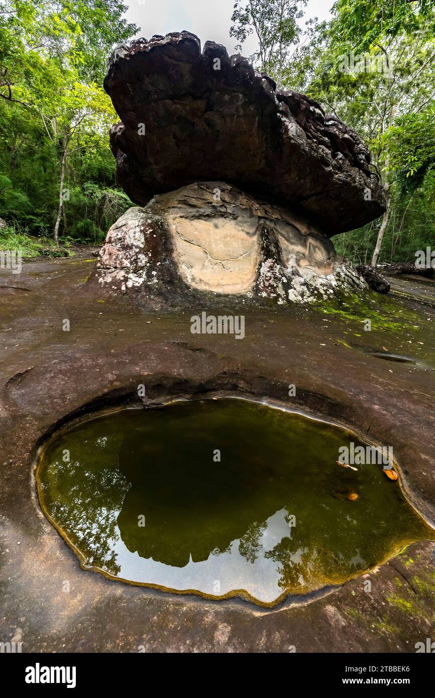 Phu Phra Bat Historical Park, pietra di funghi erosa naturale, Ban Phue, Udon Thani, Isan, Thailandia, sud-est asiatico, Asia Foto Stock