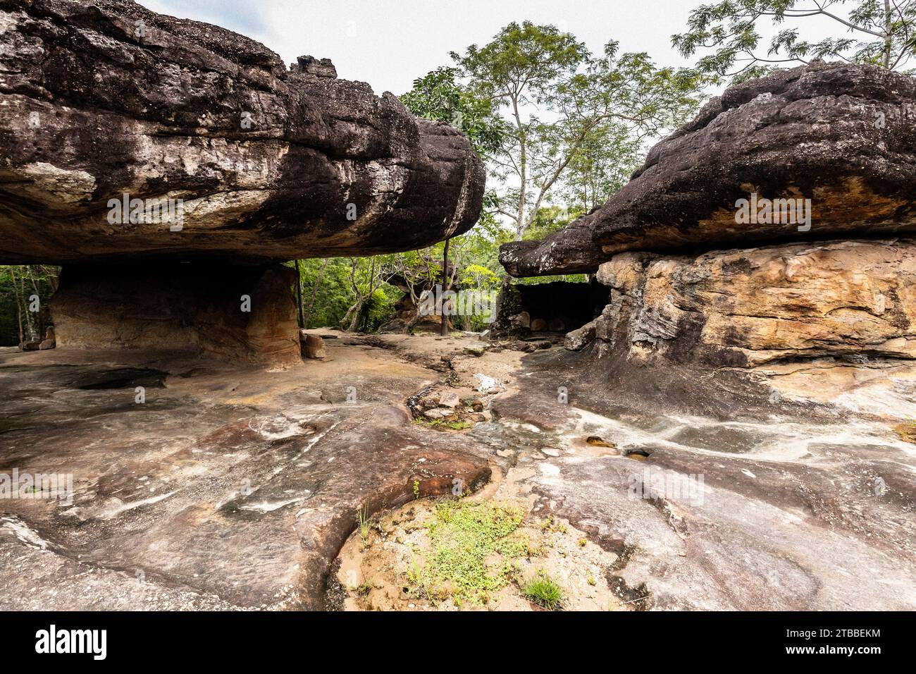 Phu Phra Bat Historical Park, santuario buddista primitivo in pietra di funghi naturali, Ban Phue, Udon Thani, Isan, Thailandia, sud-est asiatico, Asia Foto Stock
