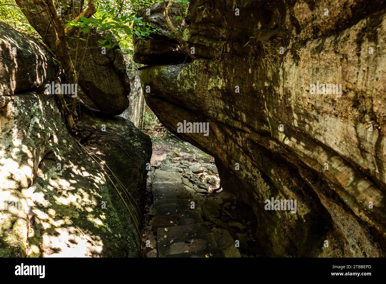 Phu Phra Bat Historical Park, stretto passaggio del giardino roccioso, Ban Phue, Udon Thani, isan, Thailandia, sud-est asiatico, Asia Foto Stock