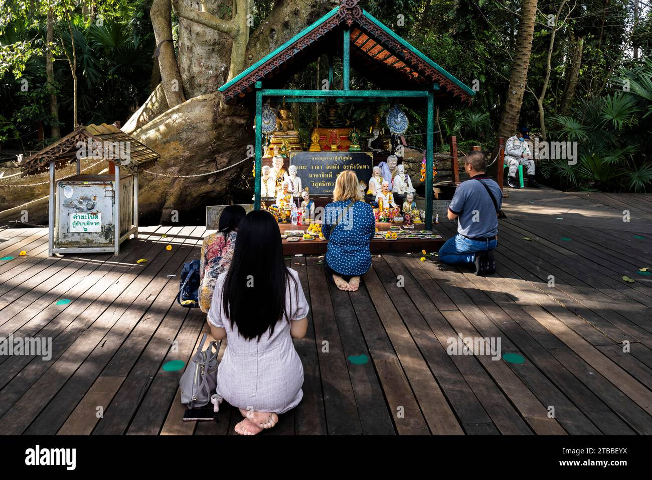 Wat Kham Chanot (Kamchanod), preghiere in un piccolo santuario di albero gigante, leggenda di Naga, Ban Dung, Udon Thani, Thailandia, sud-est asiatico, Asia Foto Stock