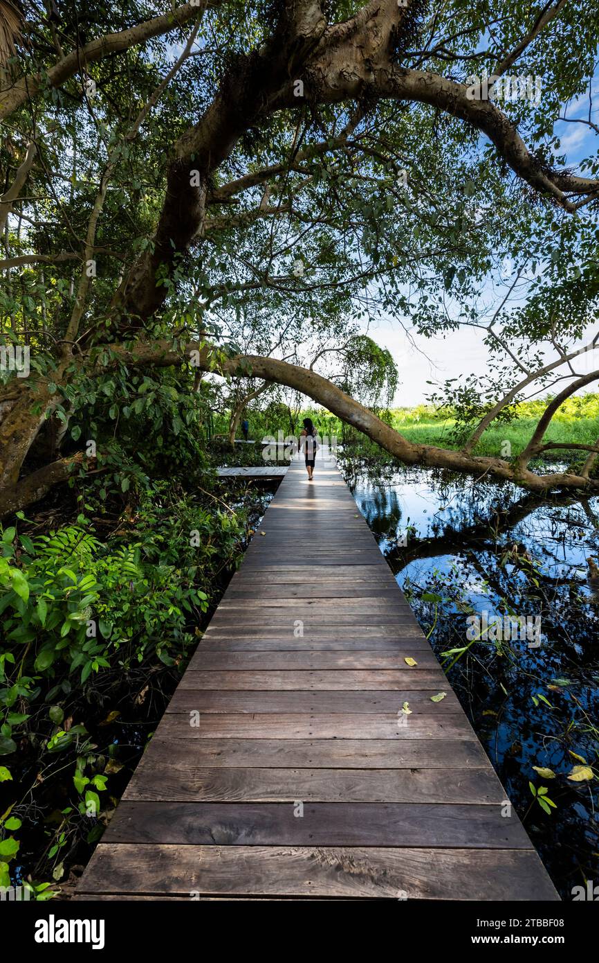 Wat Kham Chanot (Kamchanod), strada di legno intorno all'isola Santa, leggenda di Naga, Ban Dung, Udon Thani, Thailandia, sud-est asiatico, Asia Foto Stock