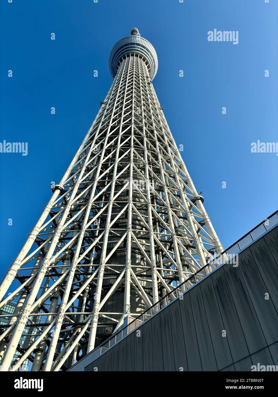 Completato nel 2012, il Tokyo Skytree si trova nel quartiere Sumida di Tokyo, in Giappone, ed è una delle strutture più alte del mondo. Foto Stock