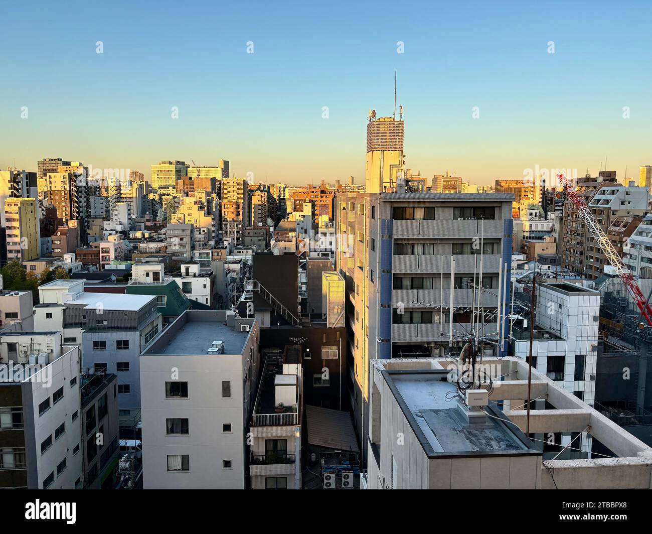 Skyline del quartiere Asakusa nel quartiere Taito di Tokyo, Giappone all'alba. Foto Stock