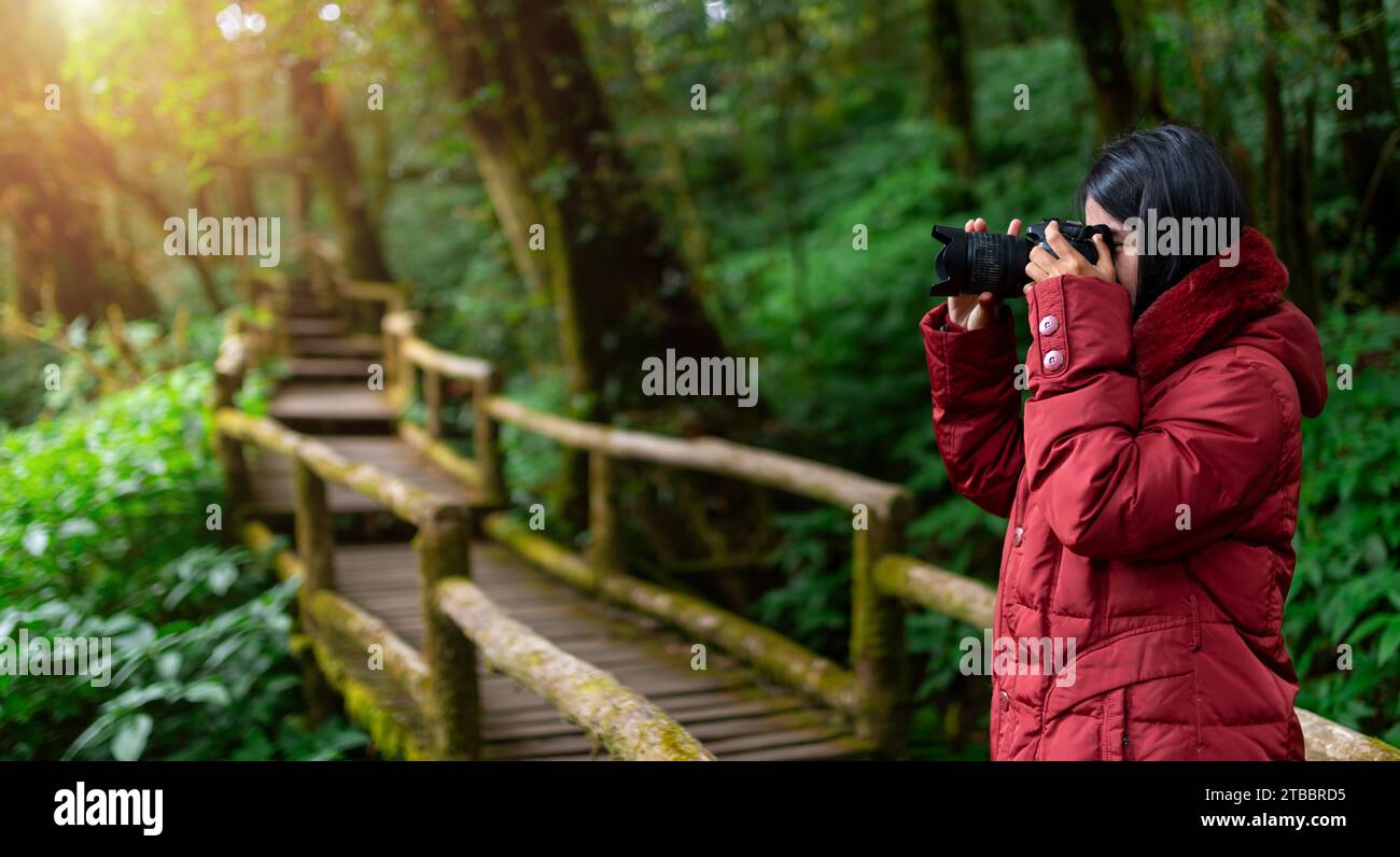 Fotografa donna che scatta foto della natura all'interno della foresta pluviale. Viaggi, Thailandia Foto Stock