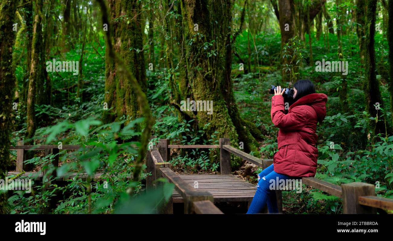 Fotografa donna che scatta foto della natura all'interno della foresta pluviale. Viaggi, Thailandia Foto Stock