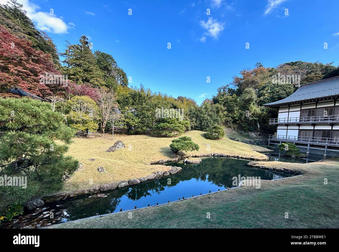 Un giardino Zen vicino all'Hojo che era tradizionalmente l'abate del tempio Kencho-ji a Kamakura, in Giappone. Foto Stock