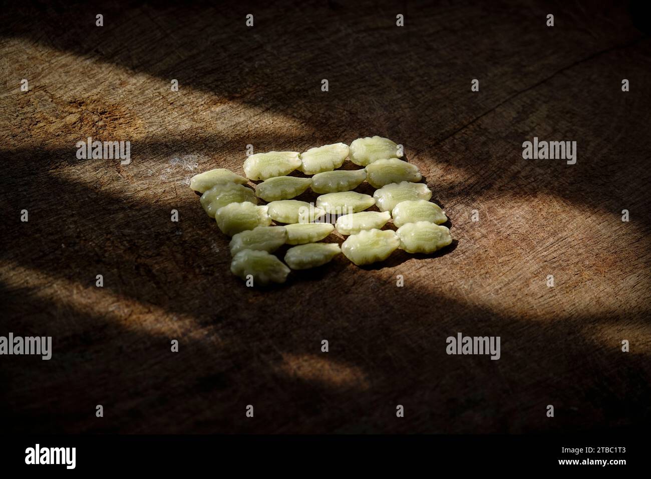 I semi di zucca serpente non sono tanto cibo Foto Stock