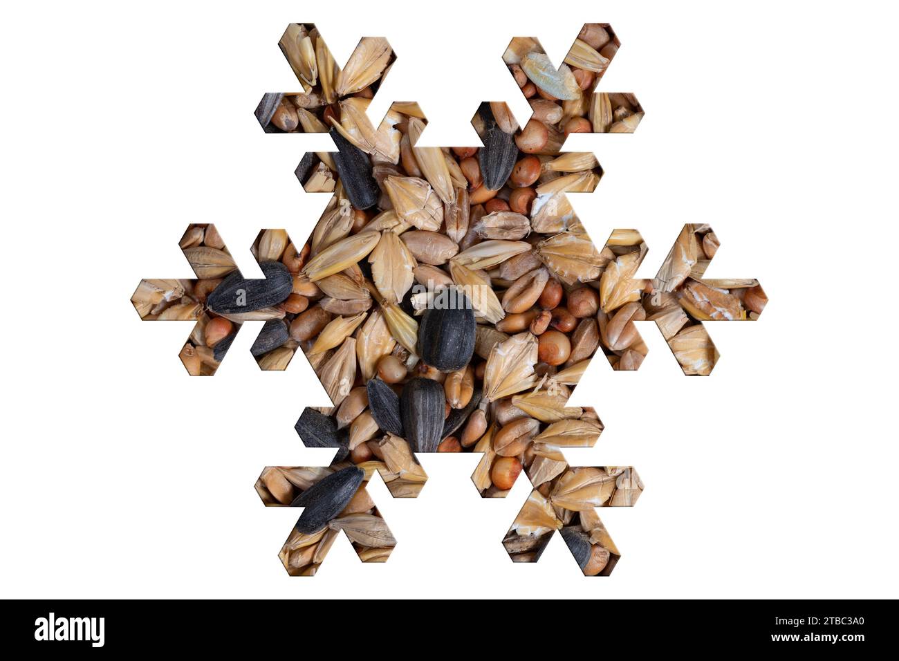 L'inverno sparge il cibo a forma di fiocco di neve Foto Stock