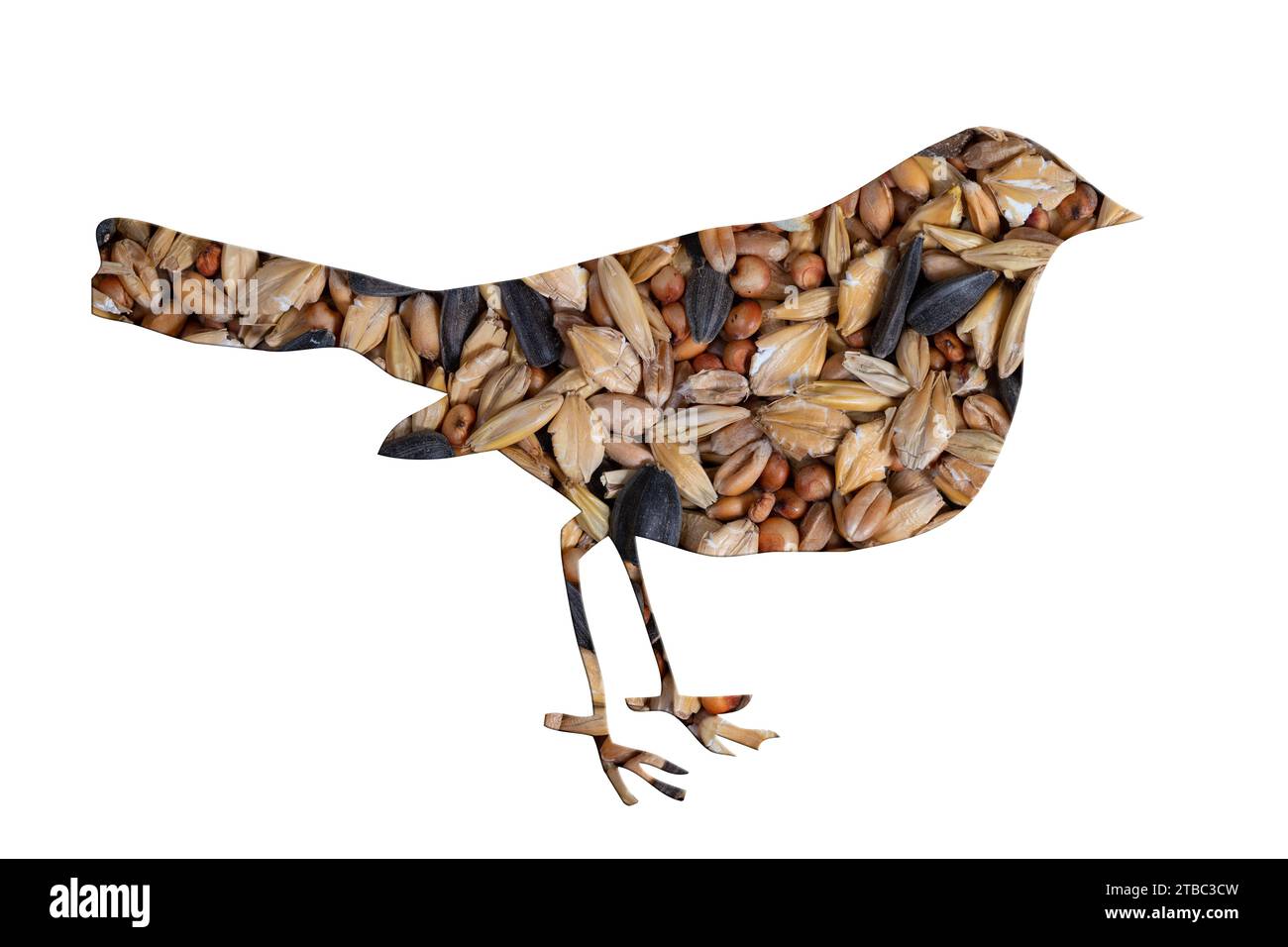 L'inverno disperde il cibo a forma di uccello Foto Stock