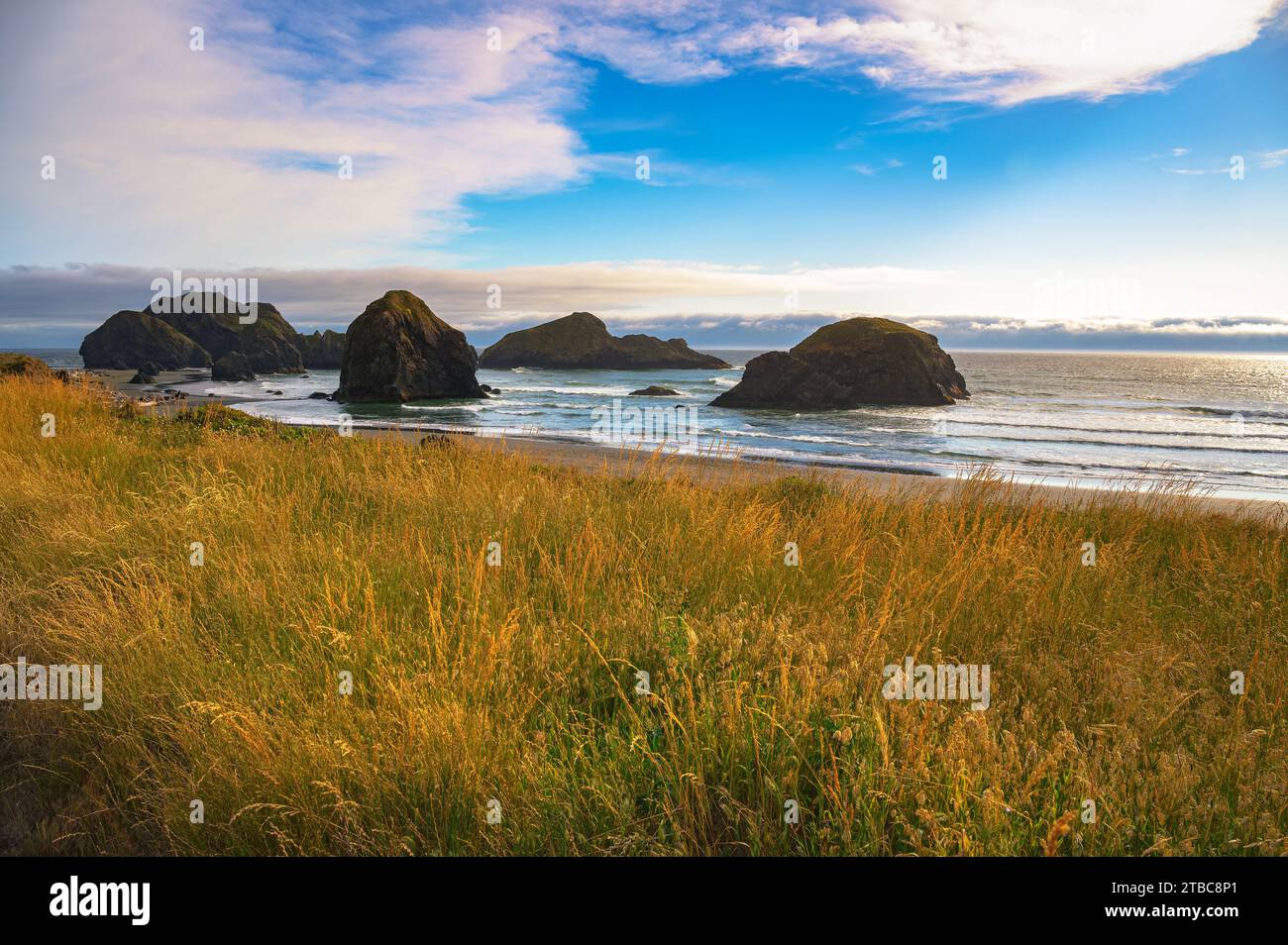 Oceano Pacifico e massicci portici di Meyers Creek Beach, costa dell'Oregon Foto Stock