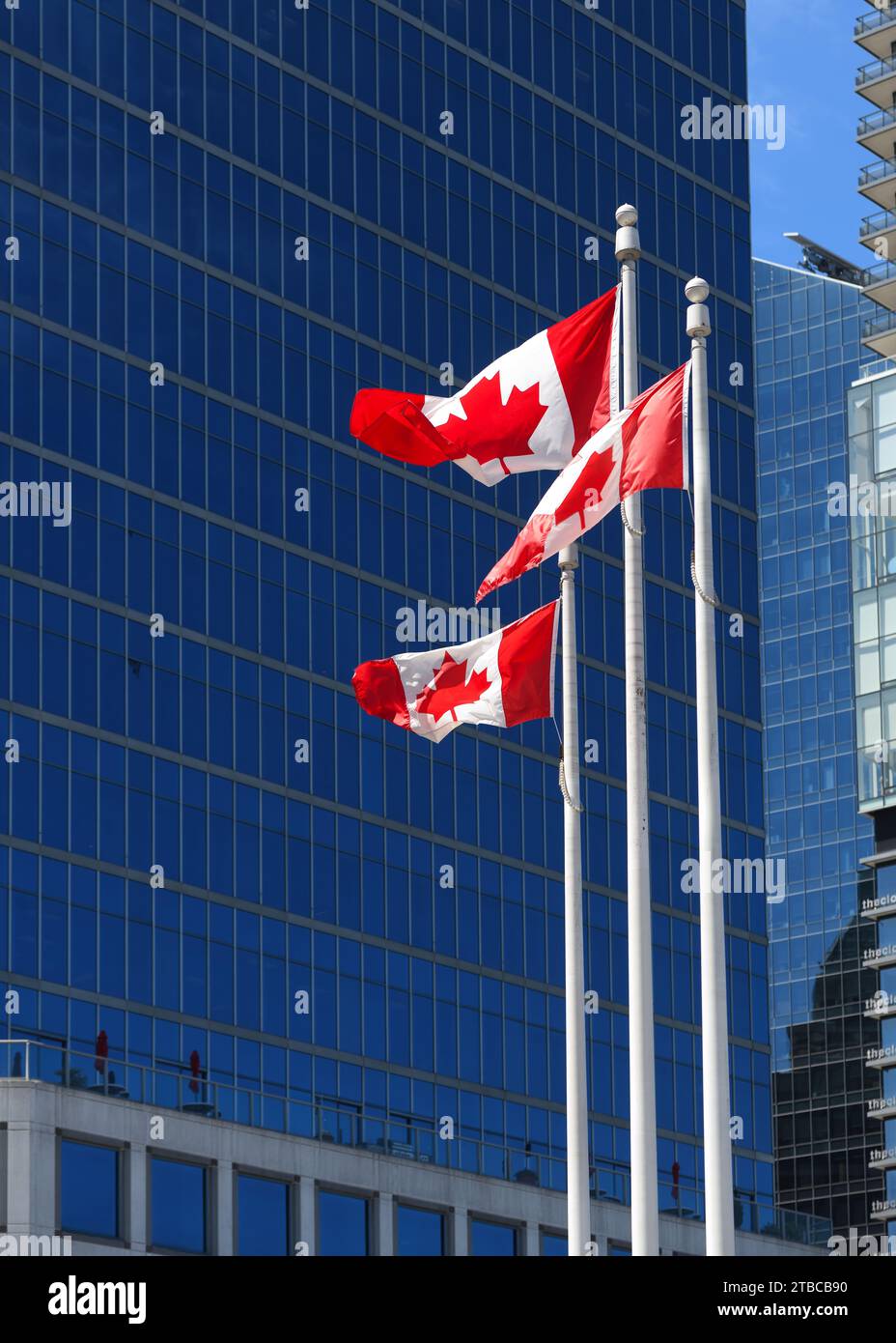 Tre bandiere di foglie d'acero canadesi su pali nella città di Vancouver, British Columbia, Canada. Foto Stock