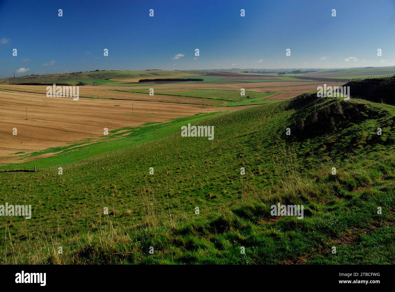 Vista dall'antico lavoro di terra di Wansdyke sulle Wiltshire Downs, guardando verso Cherhill. Foto Stock