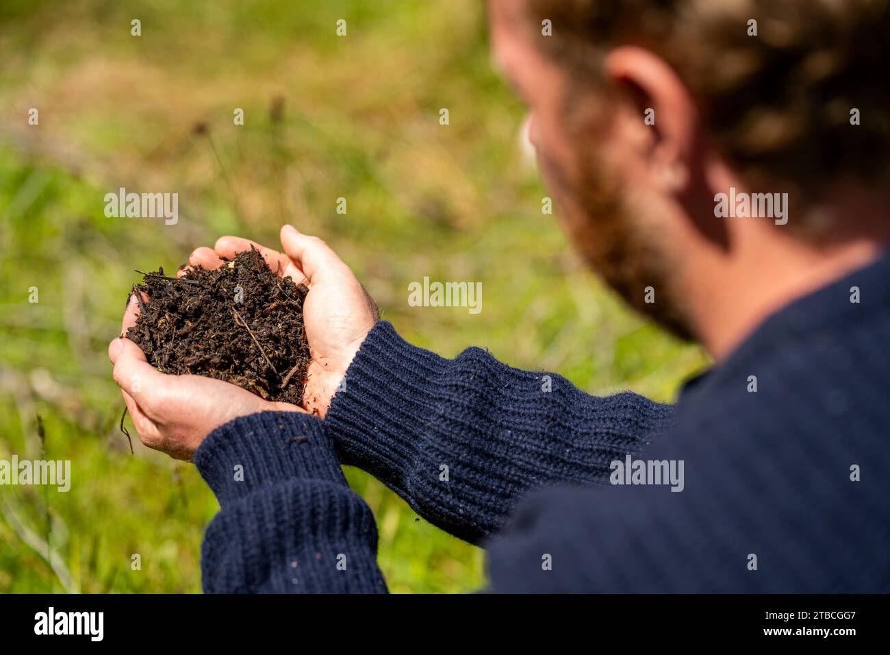 agronomia vegetale e del suolo da parte di un agricoltore in un campo di un’azienda agricola Foto Stock