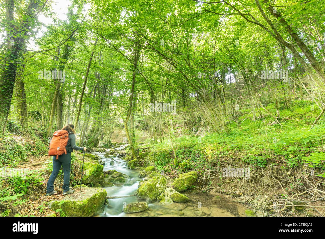 Torrent de la Masica, Vallfogona de Ripolles, Barcellona, Spagna Foto Stock