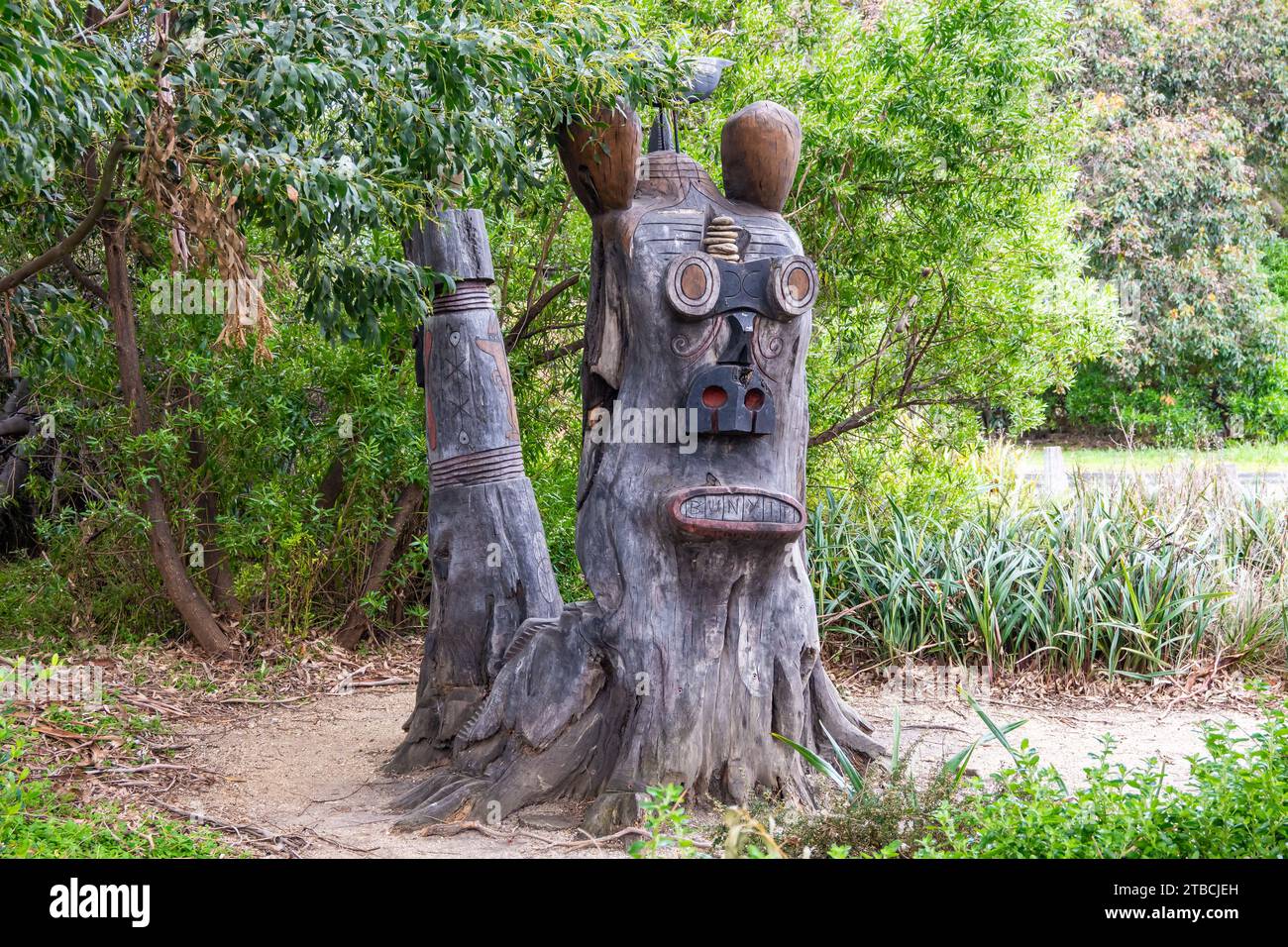 Buckley's Bunyip all'Alan Noble Sanctuary. Victoria, Australia. Foto Stock
