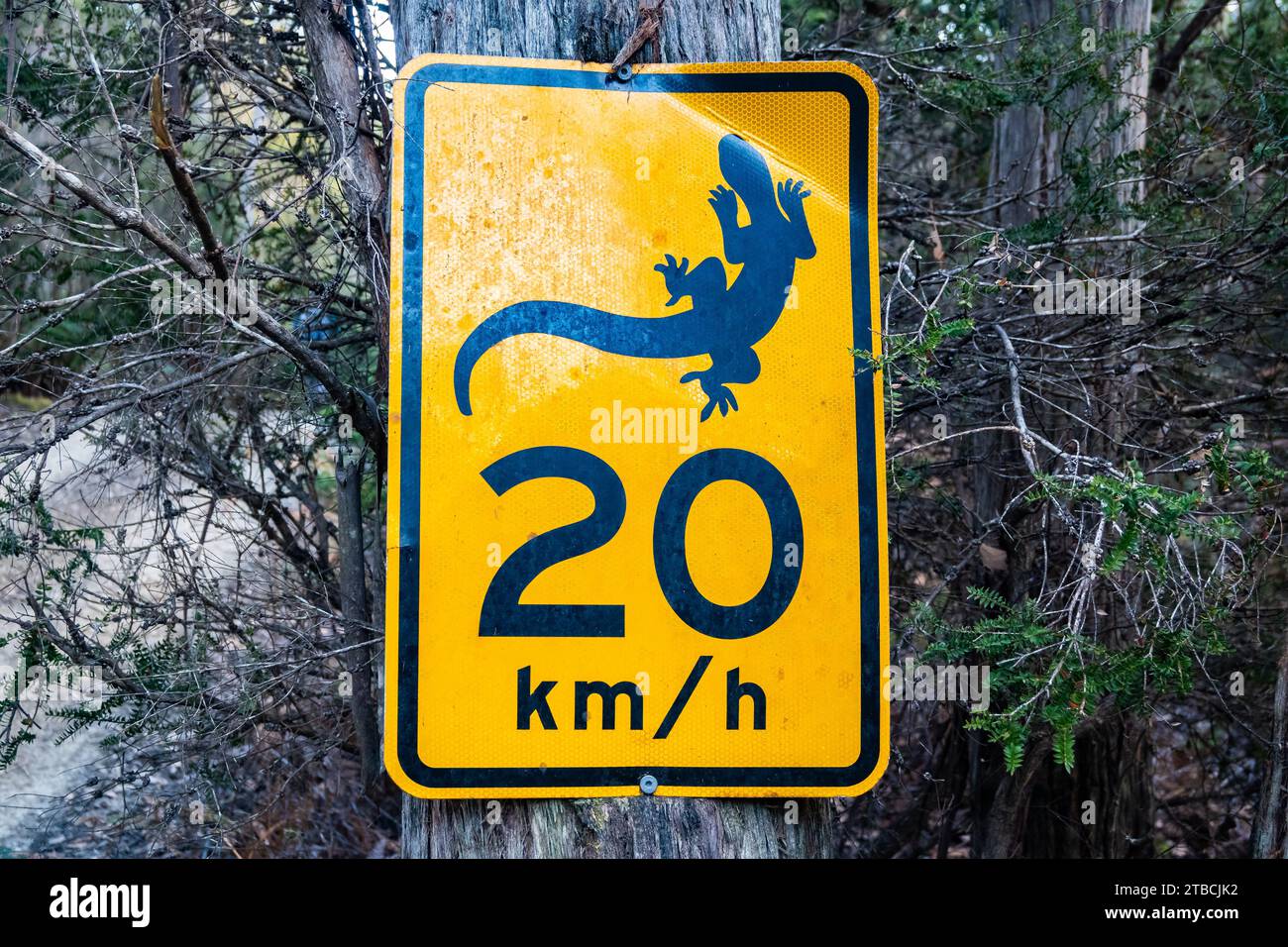 Segnale del limite di velocità sul lato della strada per proteggere gli animali selvatici. Tasmania, Australia. Foto Stock