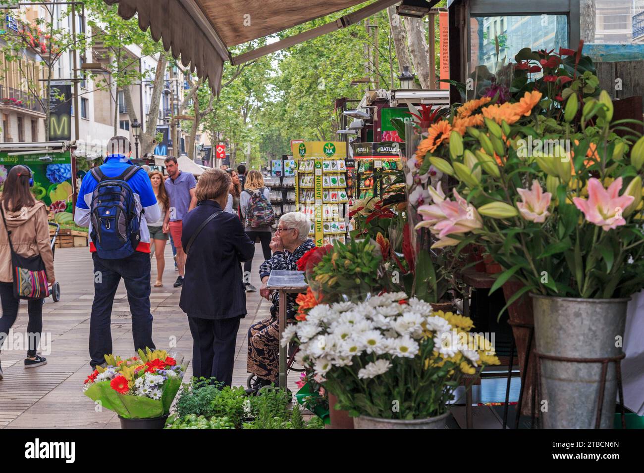 BARCELLONA, SPAGNA - 10 MAGGIO 2017: Questo è un colorato mercato dei fiori in Rambla dels Flors Street, vicino al mercato la Boqueria. Foto Stock