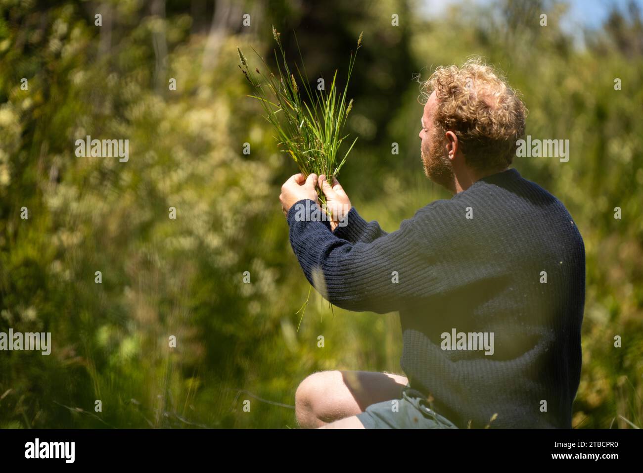 agronomia vegetale e del suolo da parte di un agricoltore in un campo di un’azienda agricola Foto Stock