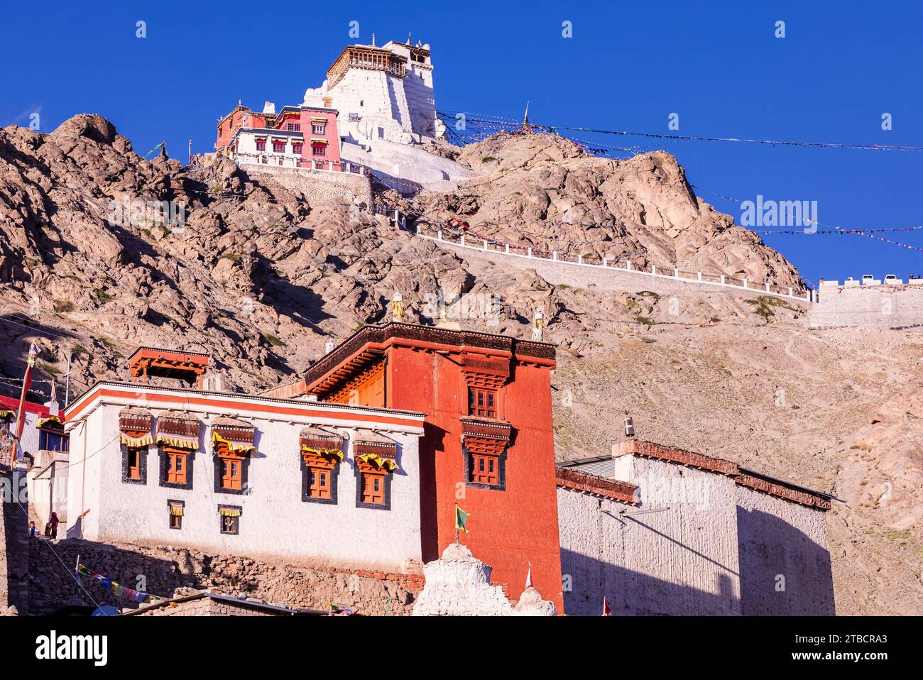 Nangyal Tsemo Gompa (Monastero), Leh, Ladakh, India Foto Stock