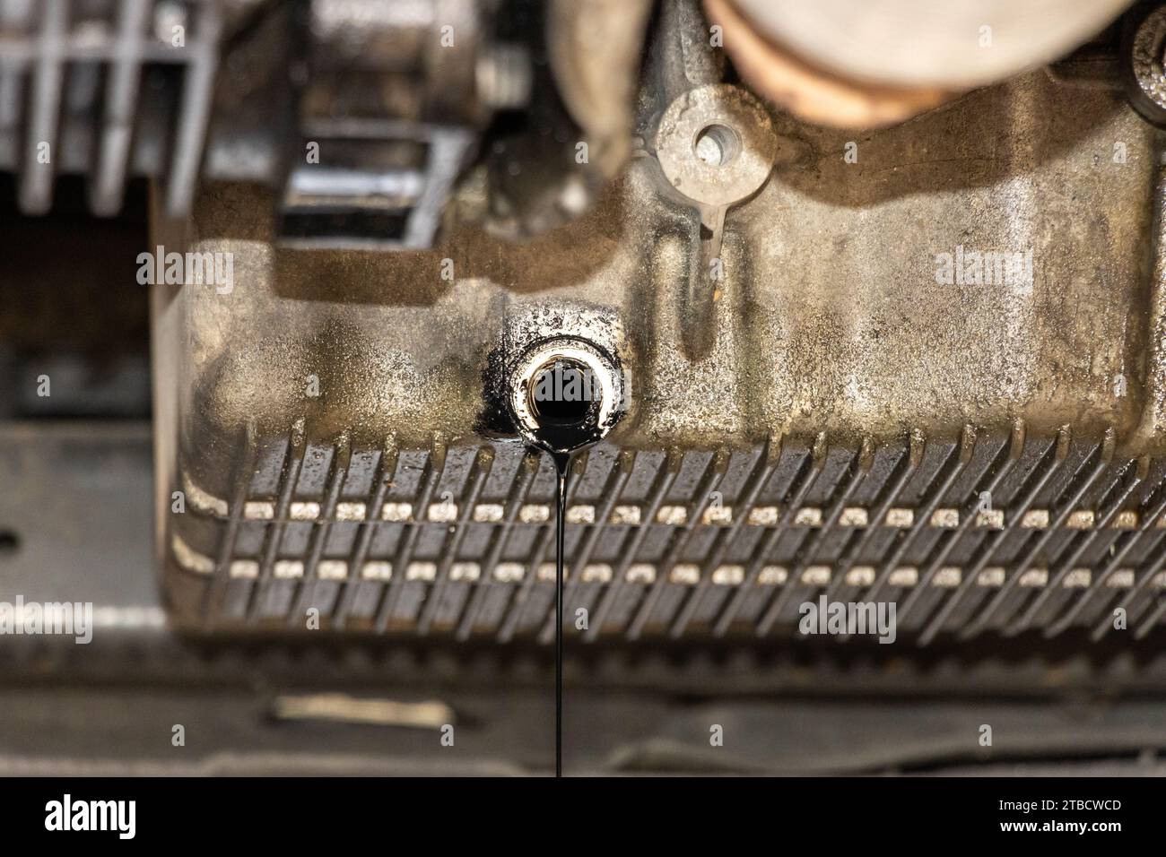 Sostituzione dell'olio motore vecchio in un servizio di riparazione di automobili. manutenzione e controllo in officina. Auto è sul sollevatore idraulico in officina Foto Stock Sostituzione dell'olio motore vecchio in un servizio di riparazione di automobili. manutenzione e controllo in officina. Auto è sul sollevatore idraulico in officina Foto Stock