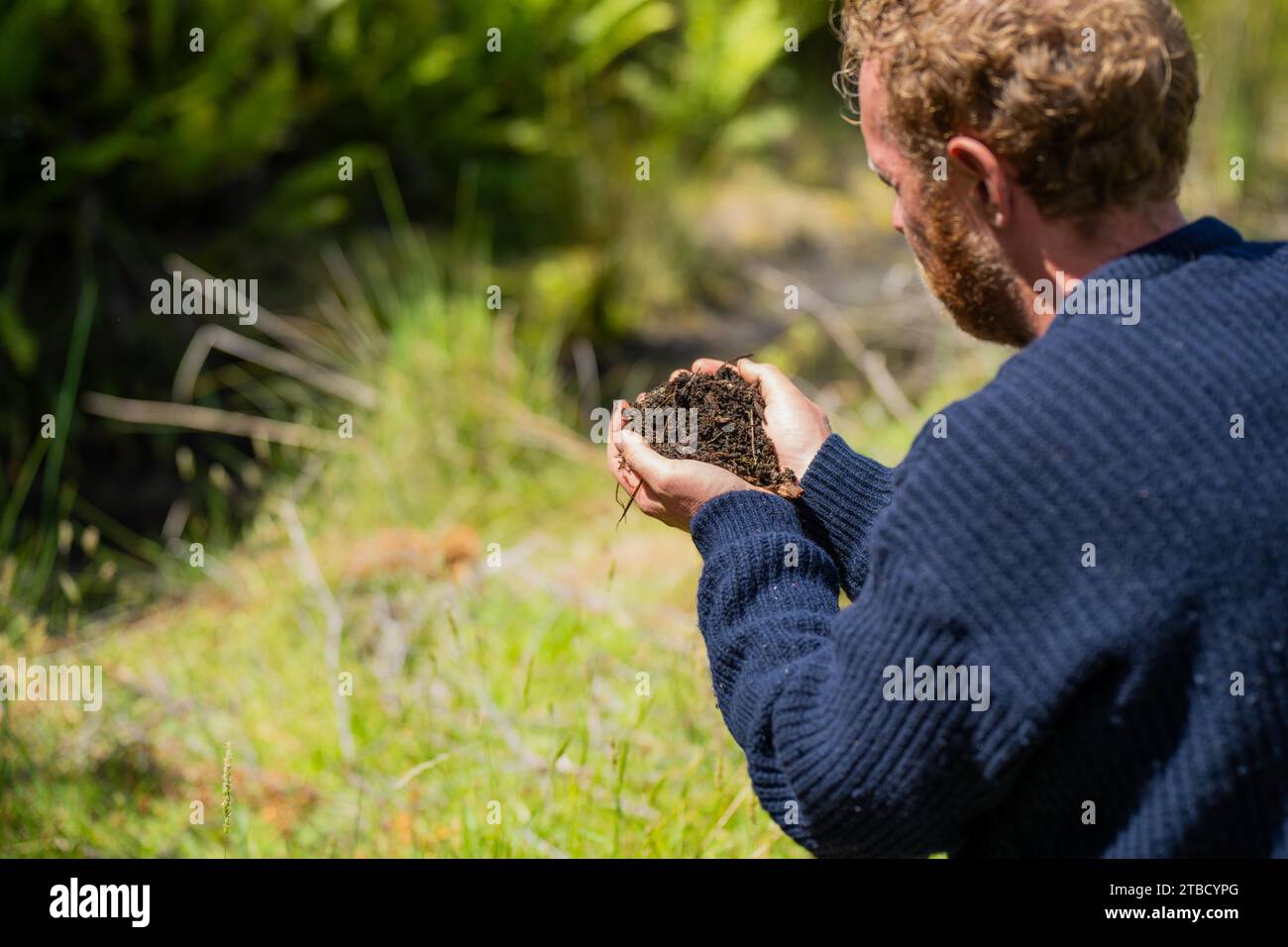 scienziato del suolo agronomo agricoltore che guarda campioni di suolo e erba in un campo in primavera. guardando la crescita delle piante e la salute del suolo in primavera Foto Stock