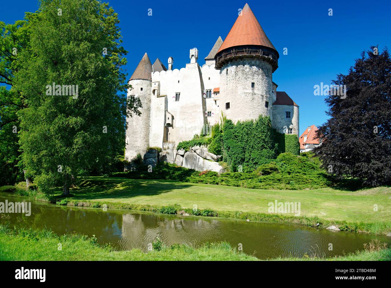 Fossato pieno d'acqua, castello fossato, castello Heidenreichstein, von Kinsky, bassa Austria, Austria Foto Stock