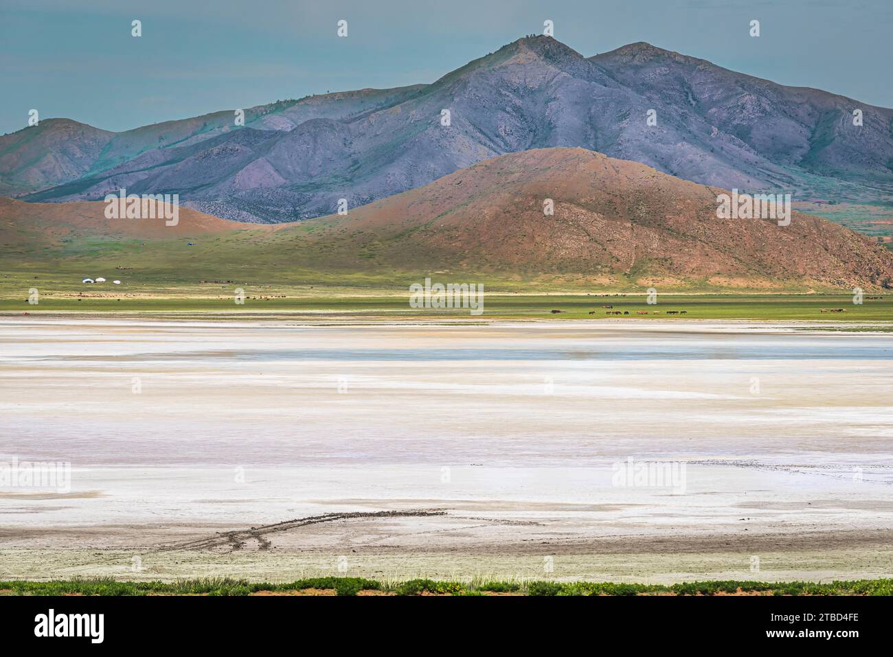 Il Lago bianco vicino alla città di Darkhan, provincia di Darkhan Uul, Mongolia Foto Stock