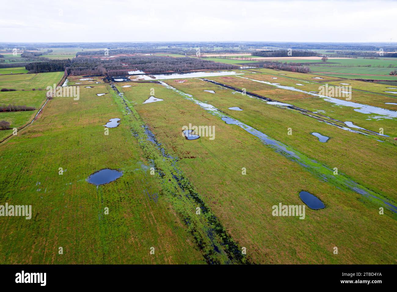 Vreeser Wiesen Bockholter dose immagine drone, zona torbiera riumidificata, Bockholter dose riserva naturale, Emsland, Germania Foto Stock