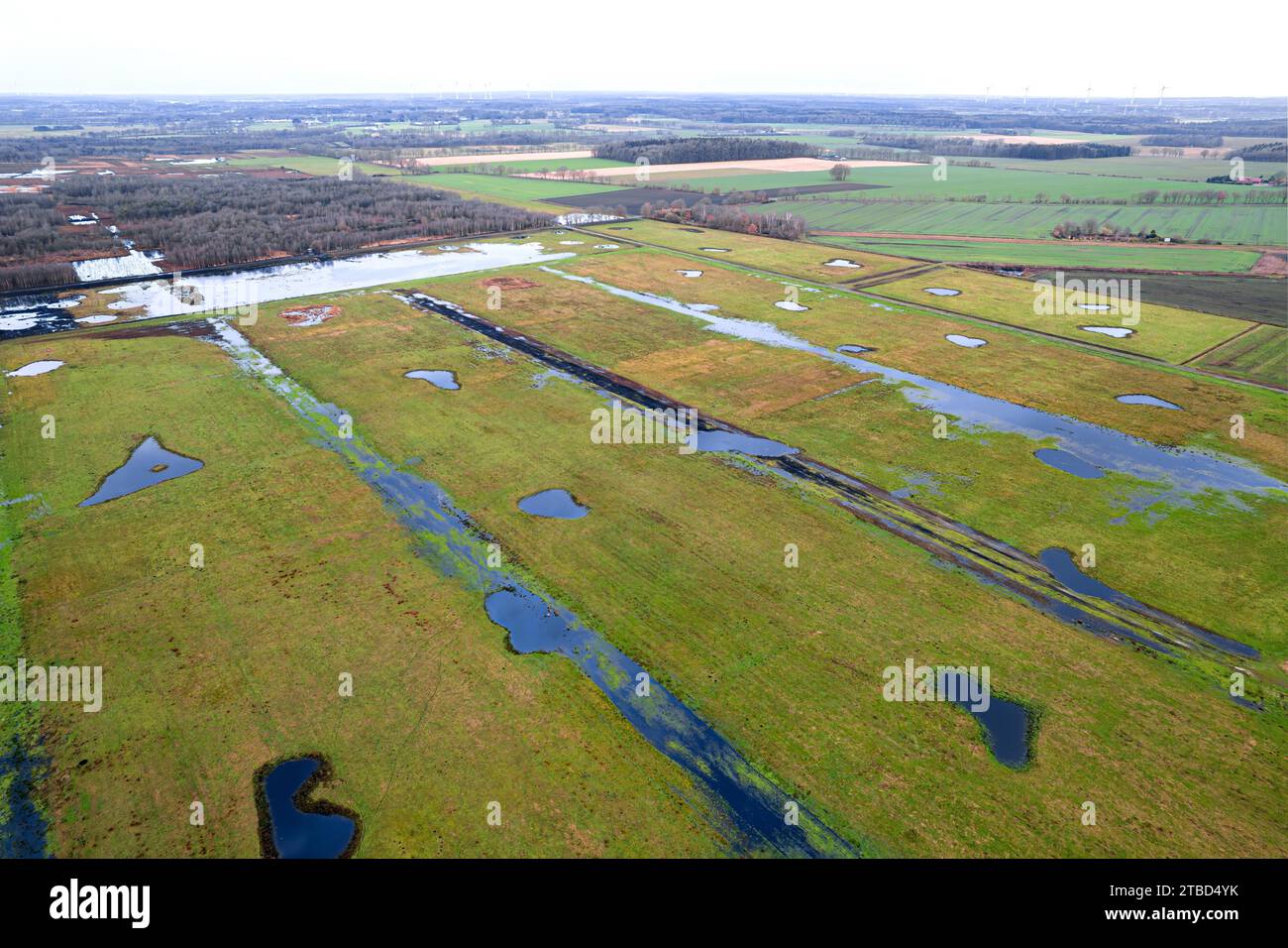 Vreeser Wiesen Bockholter dose immagine drone, zona torbiera riumidificata, Bockholter dose riserva naturale, Emsland, Germania Foto Stock