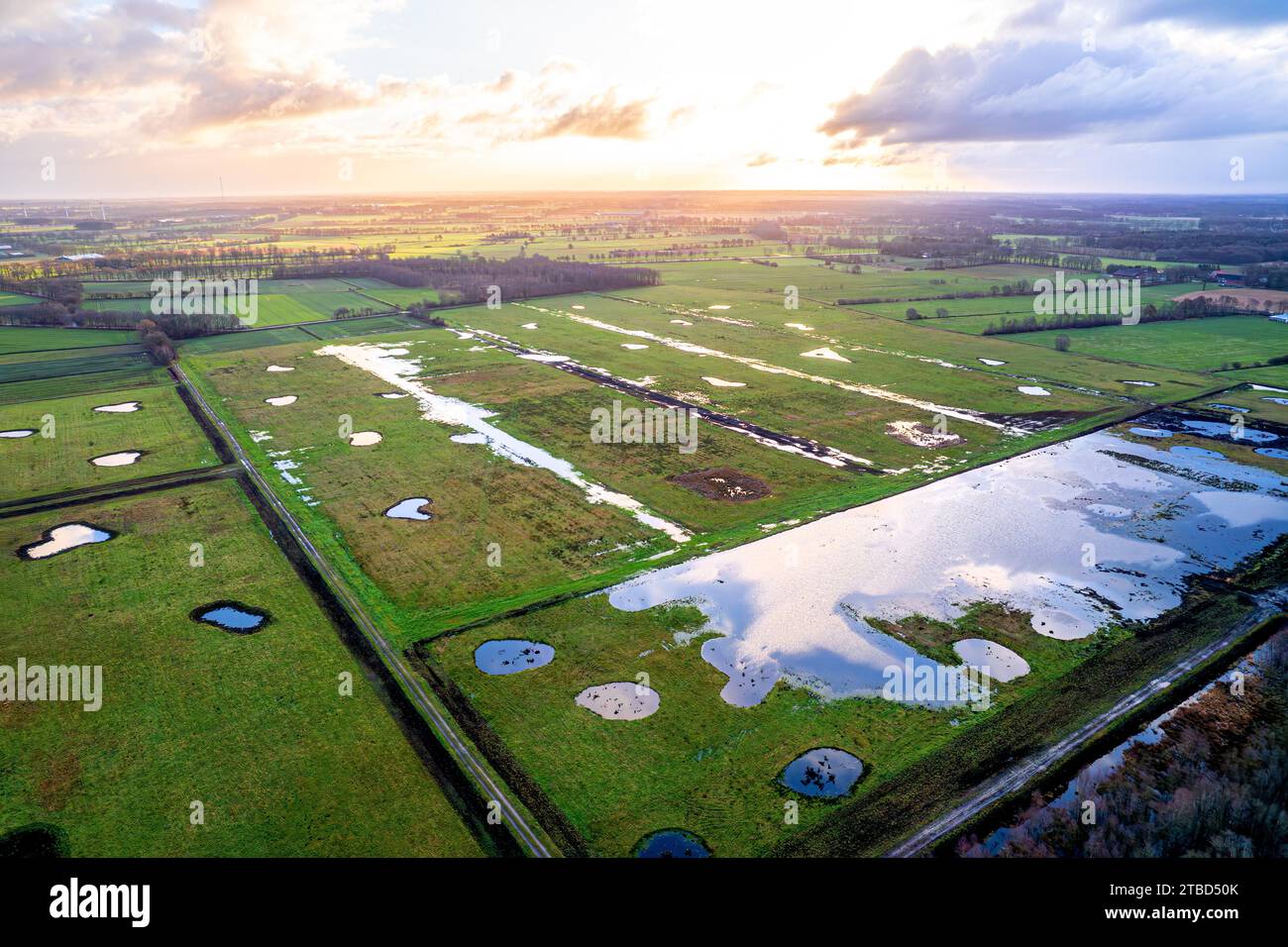 Vreeser Wiesen Bockholter dose immagine drone, zona torbiera riumidificata, Bockholter dose riserva naturale, Emsland, Germania Foto Stock