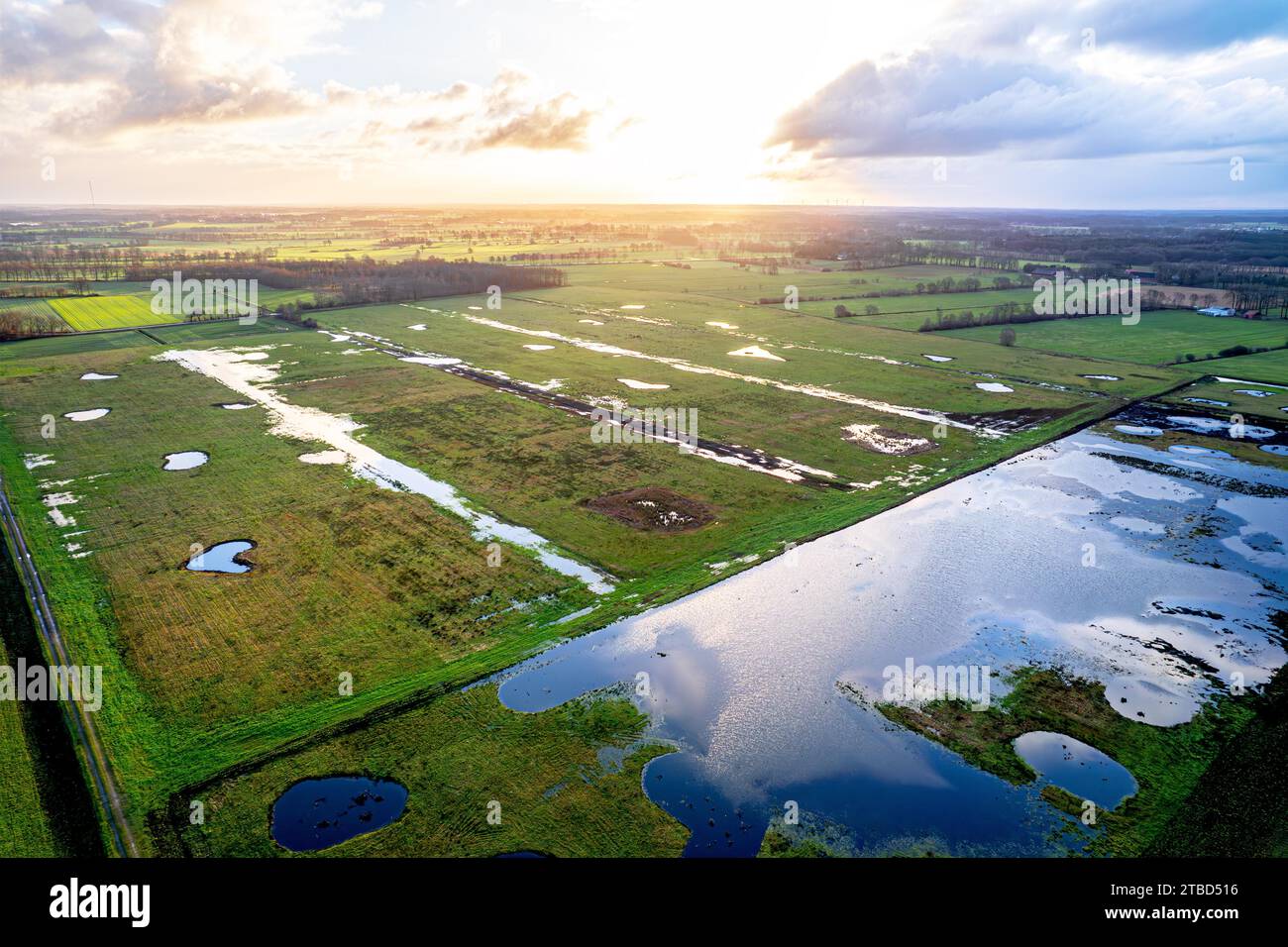 Vreeser Wiesen Bockholter dose immagine drone, zona torbiera riumidificata, Bockholter dose riserva naturale, Emsland, Germania Foto Stock