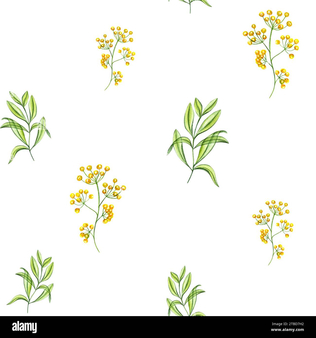 Motivo primaverile con fiori gialli e rami verdi di foglie. Piante in stile trasparente. Illustrazione acquerello isolata su bianco. Foto Stock