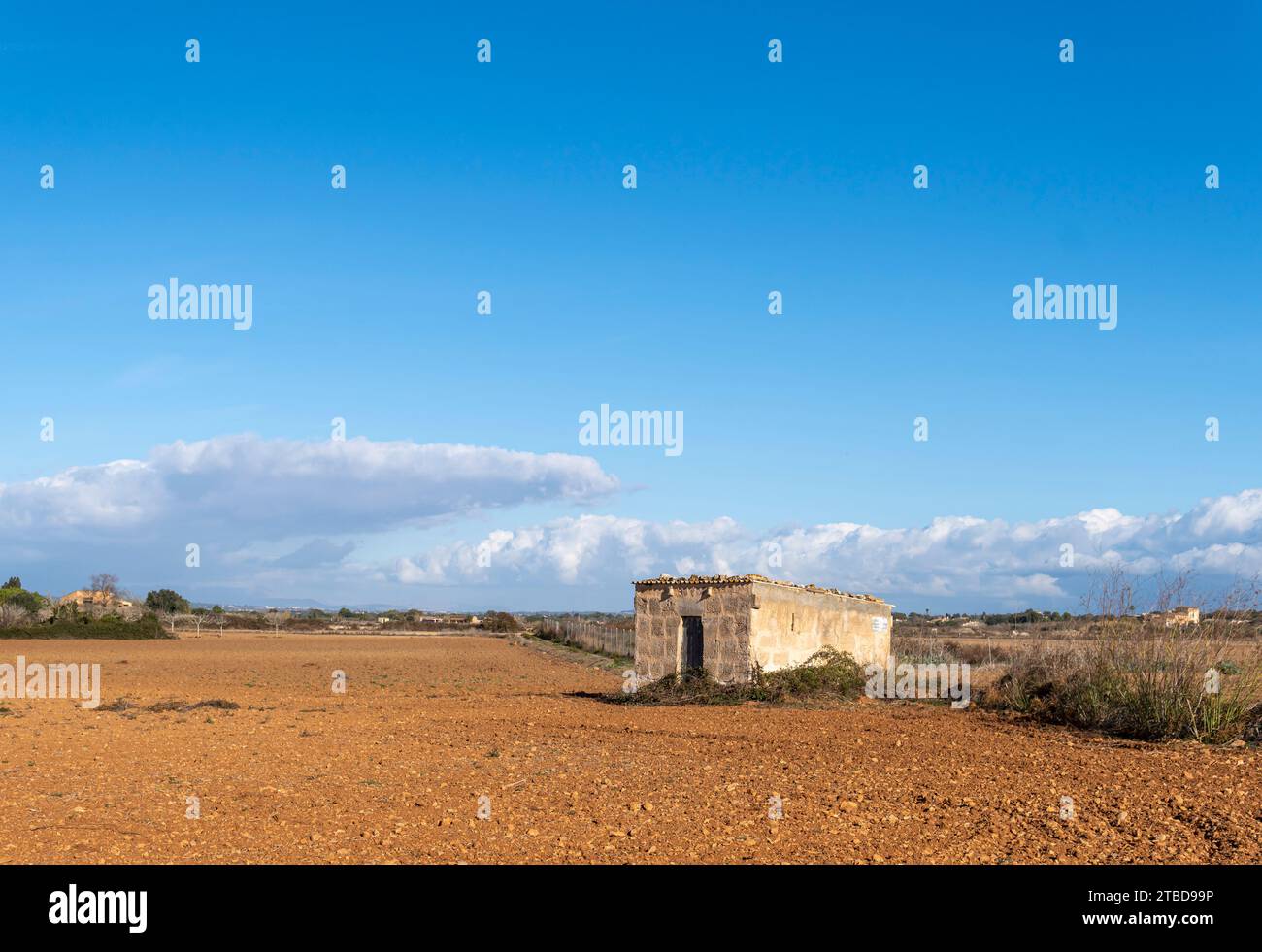 Vista generale di un paesaggio con una vecchia casa rurale abbandonata, all'interno dell'isola di Maiorca in una mattinata di sole. Felanitx, isola di Mallo Foto Stock